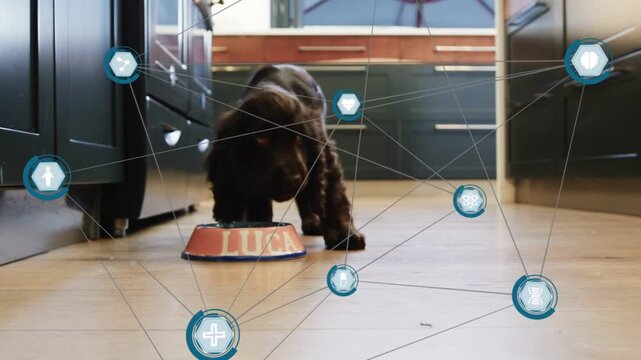 Puppy feeding at bowl, leaning in, pulling back, turning, lifting head as tech nodes circling puppy