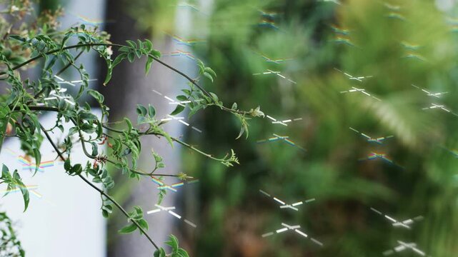 Leafy vine staying sharp left in garden, sun striking threads creating lattice diamond reflections