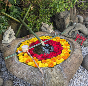 Japanese flower chozuya with floating chrysanthemums in a stone basin at shrine