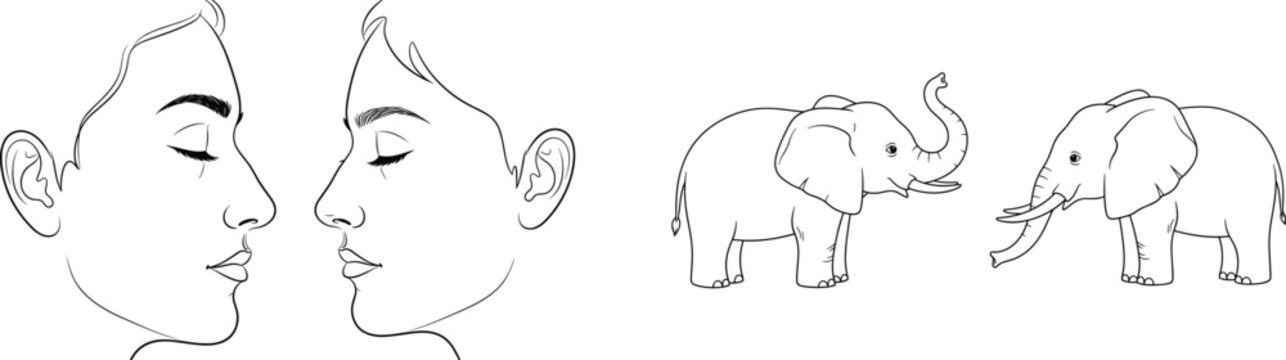 Continuous Line Art Female Face Profile &ndash; Minimal Beauty Portrait Side View Vector Illustration and Elephant Line Art Illustration &ndash; Cute Baby Elephant Outline Animal Vector Drawing