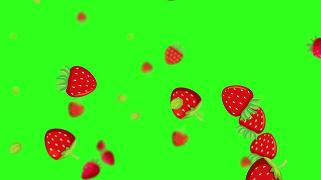 Cartoon strawberries falling and floating on green screen background loop.