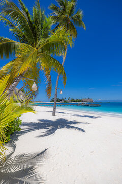 Vertical Maldives paradise island beach dream travel landscape stunning ocean shore sand sky sunshine turquoise tropical summer vacation destination scenic nature paradise