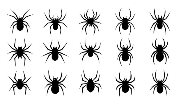 Minimal Black Spider Icons Silhouette Collection