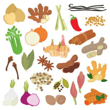 Cooking spices and herbs vector illustration set. Cartoon vector organic food cooking ingredients and seasoning isolated in white background.