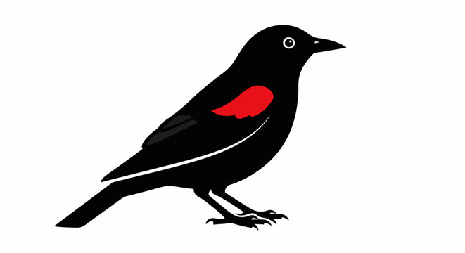 Stylized black bird with a red patch on its wing, isolated on white