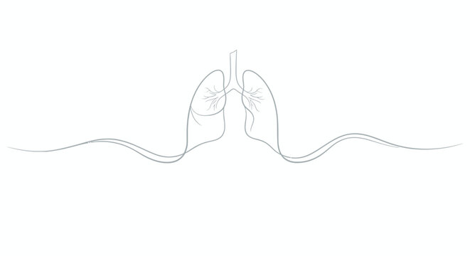 Minimalist continuous line art illustration of human respiratory lungs
