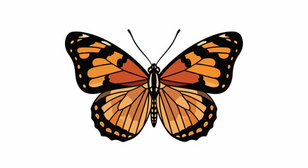 Obraz premium A bright orange and black patterned butterfly with black antennae