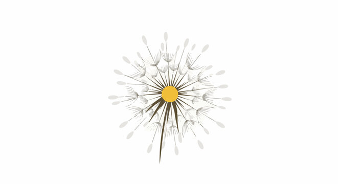 Delicate dandelion seed head with a yellow center, against a white background