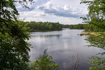 Fototapeta premium Deciduous forest on the banks of the Obra River reservoir during summer