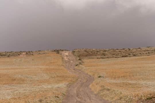 Camino en paisaje volc&aacute;nico con vegetaci&oacute;n seca en Lanzarote