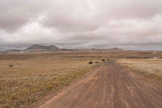 Camino en paisaje volc&aacute;nico con vegetaci&oacute;n seca en Lanzarote