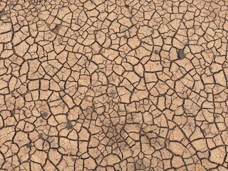 Fototapeta premium Tierra árida con grietas en superficie