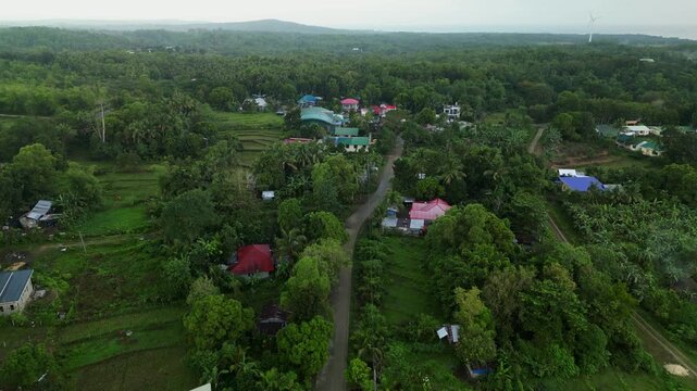 Aerial view of vibrant village road surrounded by dense greenery and colorful rooftops. Perfect for travel content and community-focused projects.
