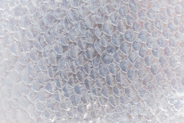 Intriguing texture of translucent fish scales glistening in natural light at a coastal market © Maksim Shebeko