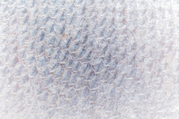 Intricate texture of fish scales glimmering under soft light on a peaceful day by the shore © Maksim Shebeko