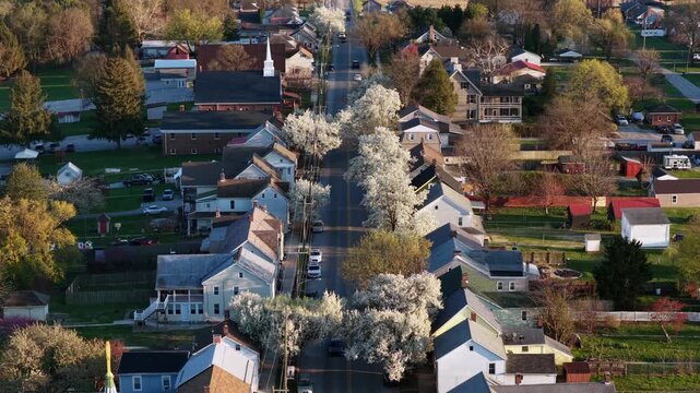 Aerial view of quiet American small-town street in Pennsylvania during spring with blooming trees, cozy houses and warm sunset light. Peaceful, picturesque suburban neighborhood scene. Wide shot.