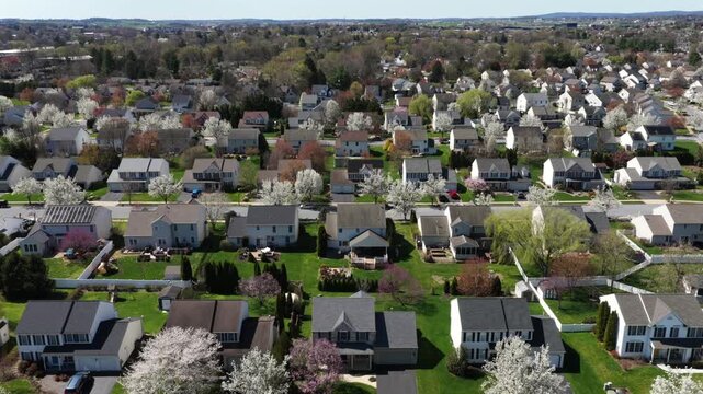 Aerial view of large American suburban neighborhood with rows of detached houses, green lawns and blooming trees in spring, showing peaceful residential living and organized urban planning. Flyover.