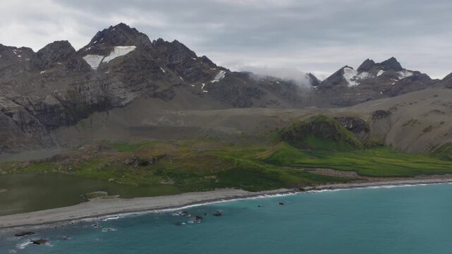 Drone video of South Georgia and the Sandwich Islands with a massive colony of king penguins on the beach