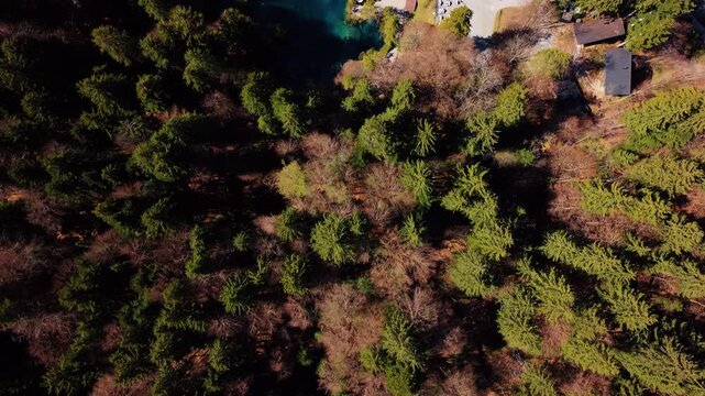 Top down drone shot of Blausee in Bernese Oberland during the day in Kandergrund, canton of Bern, Switzerland