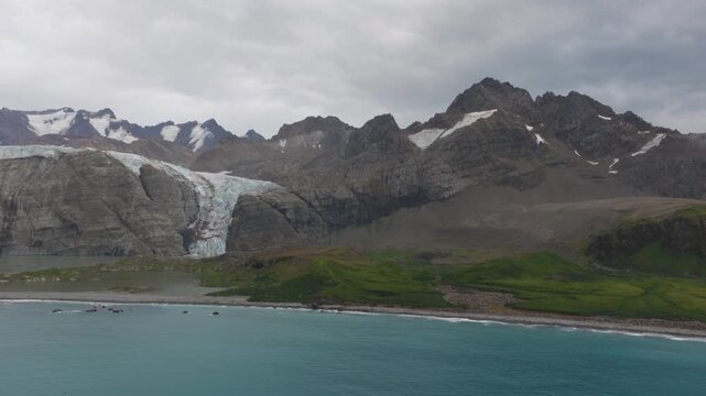 Drone video of South Georgia and the Sandwich Islands with a massive colony of king penguins on the beach