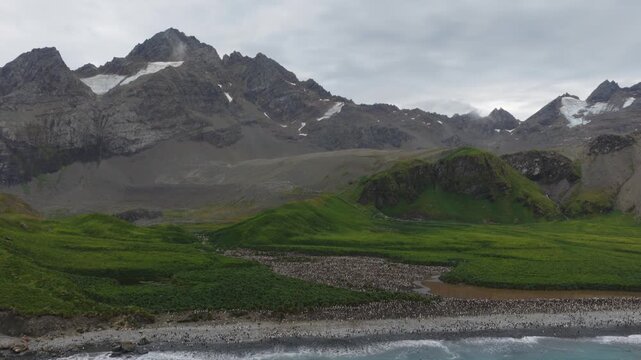 Drone video of South Georgia and the Sandwich Islands with a massive colony of king penguins on the beach
