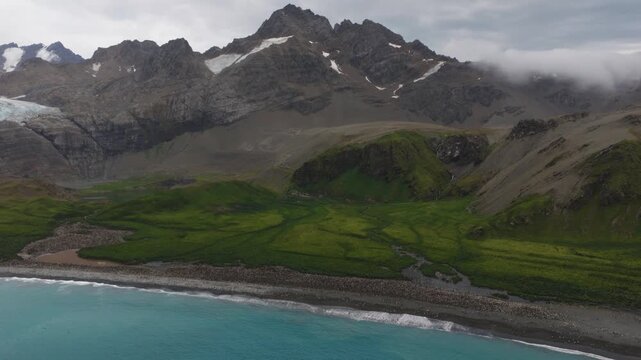Drone video of South Georgia and the Sandwich Islands with a massive colony of king penguins on the beach