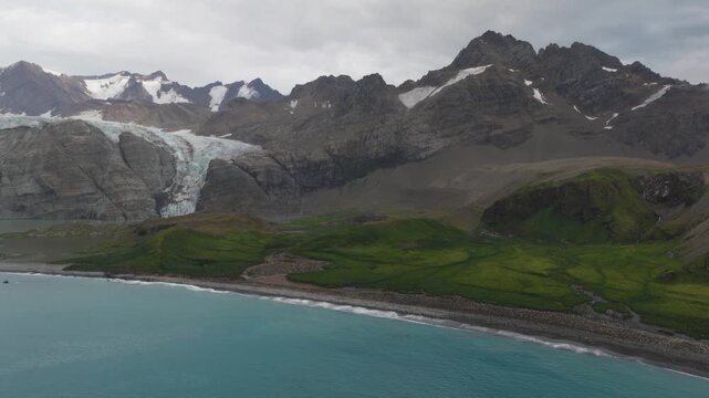 Drone video of South Georgia and the Sandwich Islands with a massive colony of king penguins on the beach