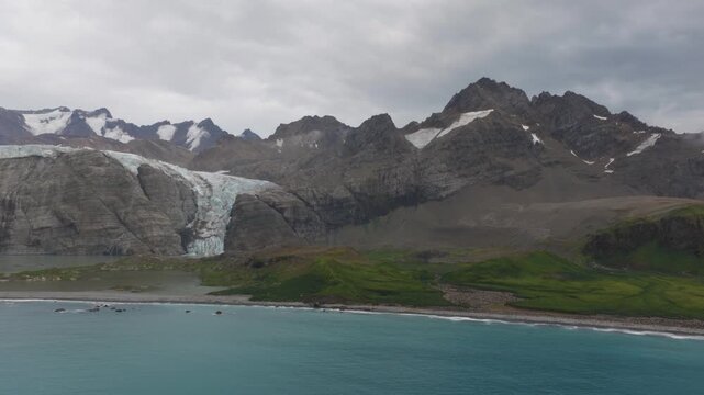 Drone video of South Georgia and the Sandwich Islands with a massive colony of king penguins on the beach