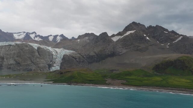 Drone video of South Georgia and the Sandwich Islands with a massive colony of king penguins on the beach