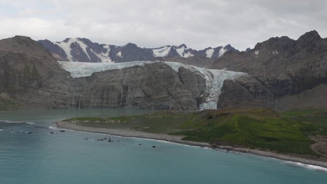Drone video of South Georgia and the Sandwich Islands with a massive colony of king penguins on the beach