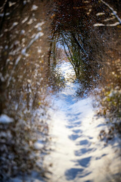 Wanderung auf engem Trampelpfad durch einen wei&szlig;en Winterwald