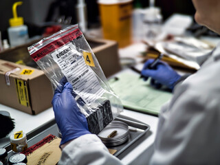 A forensic police officer examines a smartphone as evidence in a murder case at a forensic laboratory © digicomphoto