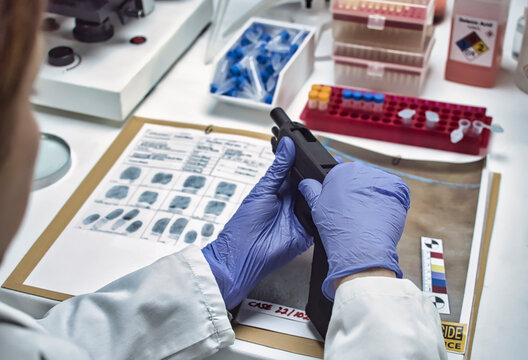 A forensic police officer examines a firearm as evidence in a homicide case at a forensic laboratory
