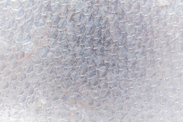 Intricate patterns and textures shine in light behind a translucent surface resembling fish scales © Maksim Shebeko