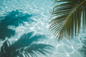 Obraz premium Tropical palm fronds