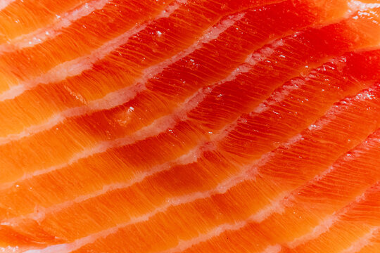 Slicing through the vibrant layers of fresh salmon with artistic precision
