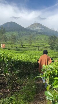 This atmospheric vertical B-roll footage offers a captivating first-person perspective, following a woman wearing a modest rust-colored jacket and a black hijab as she strolls through the endless, spr