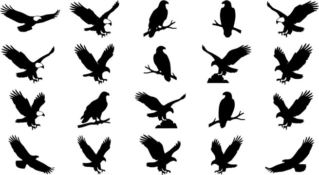 Dynamic collection of majestic eagle silhouettes in various poses, capturing powerful flight, poised perching, and assertive action, embodying freedom and strength