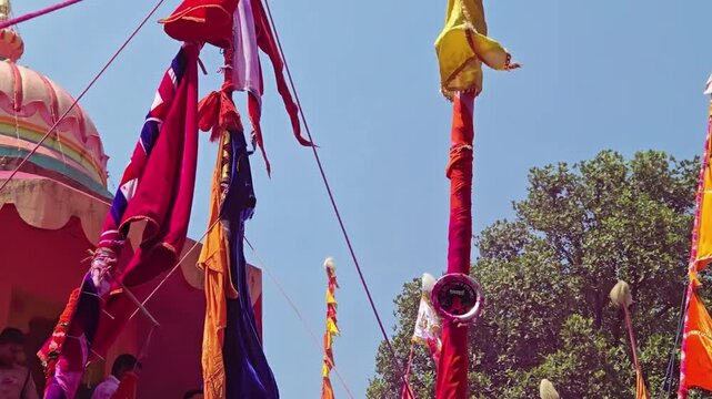 Pink gulal fills the air as towering Sasan Kathi poles sway during the Yerad Yatra's Chhabina. These sacred, 70-foot sticks celebrate Lord Yedoba, merges vibrant color with deep Maharashtrian devotion