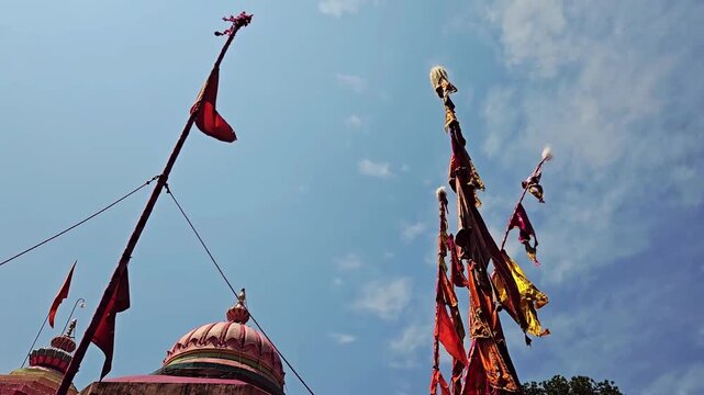 Sasan Kathis tower on the temple kalash, dance through pink gulal clouds in the Yerad Yatra Chhabina. These 70-foot poles honor Lord Yedoba, marking a vibrant color celebration of Maharashtrian faith.