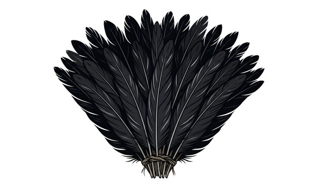 black cassowary feathers vector bundle for traditional headdress on transparent background