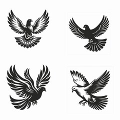 Fototapeta premium Colorful Bird Vector Illustration