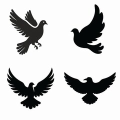 Fototapeta premium Colorful Bird Vector Illustration