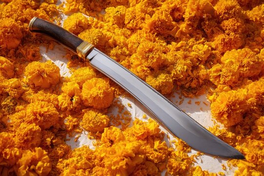 Conceptual minimal photograph a single Sikh kirpan (ceremonial dagger) resting diagonally on a bed of fresh marigold petals, clean white background, 