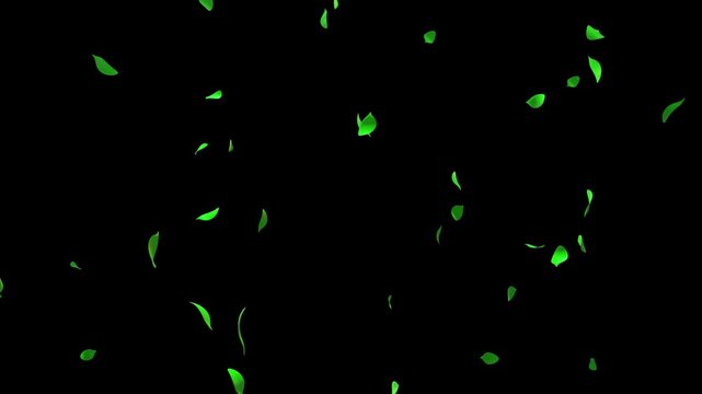 Green tree leaves swirling and floating in wind isolated on transparent background &ndash; realistic nature overlay with alpha channel