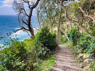 Naklejka premium Scenic view of a pathway leading down to idilic coastline