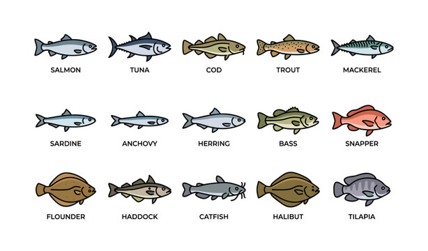 Various fish species icons labeled with common names in rows