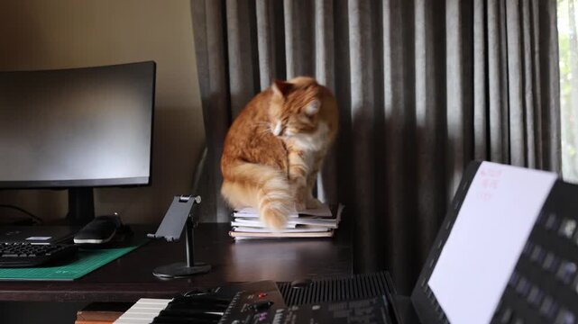 A ginger cat curiously explores a home office desk, surrounded by a computer, keyboard, and documents. Natural light creates a warm ambiance in this engaging domestic scene.