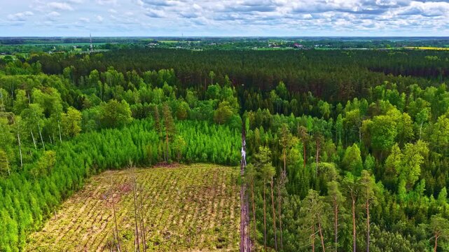 Wide aerial shot of a managed forest featuring young saplings, clear-cut zones, and mature trees.