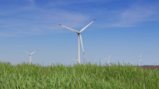 Green field of wheat and wind generators located near the village of Suvorovo, Varna, Bulgaria